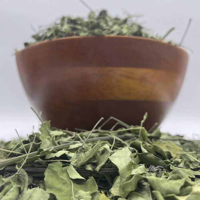 Moringa epecia