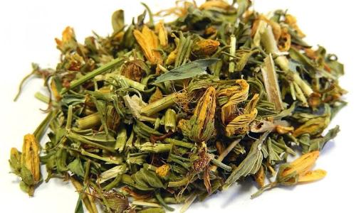 57b7fcd3-d832-4c3a-a904-c99b74462527-500x300-TlchvGfZVsVaMRcr1FWTvB5TrAHZBBVP1dGeD0g8