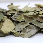 Les Feuilles de curry (اوراق الكاري)